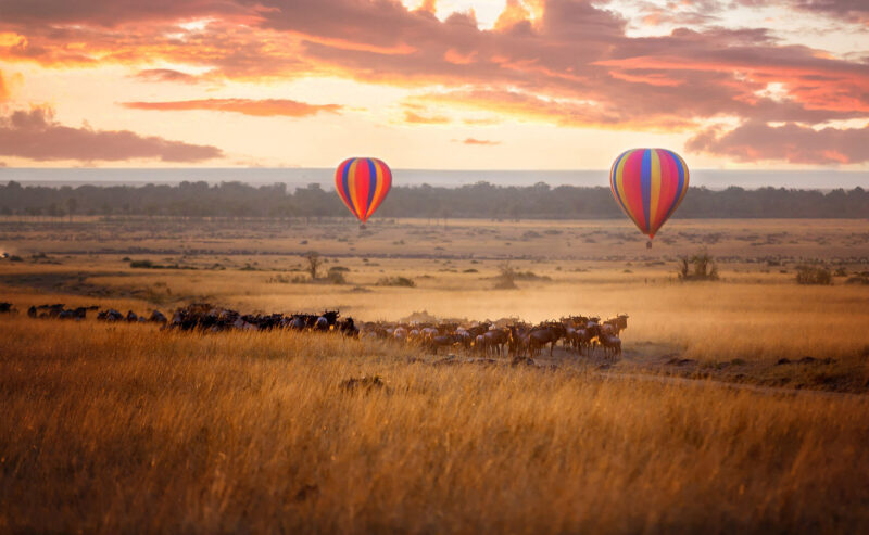 Honeymoon grand tours