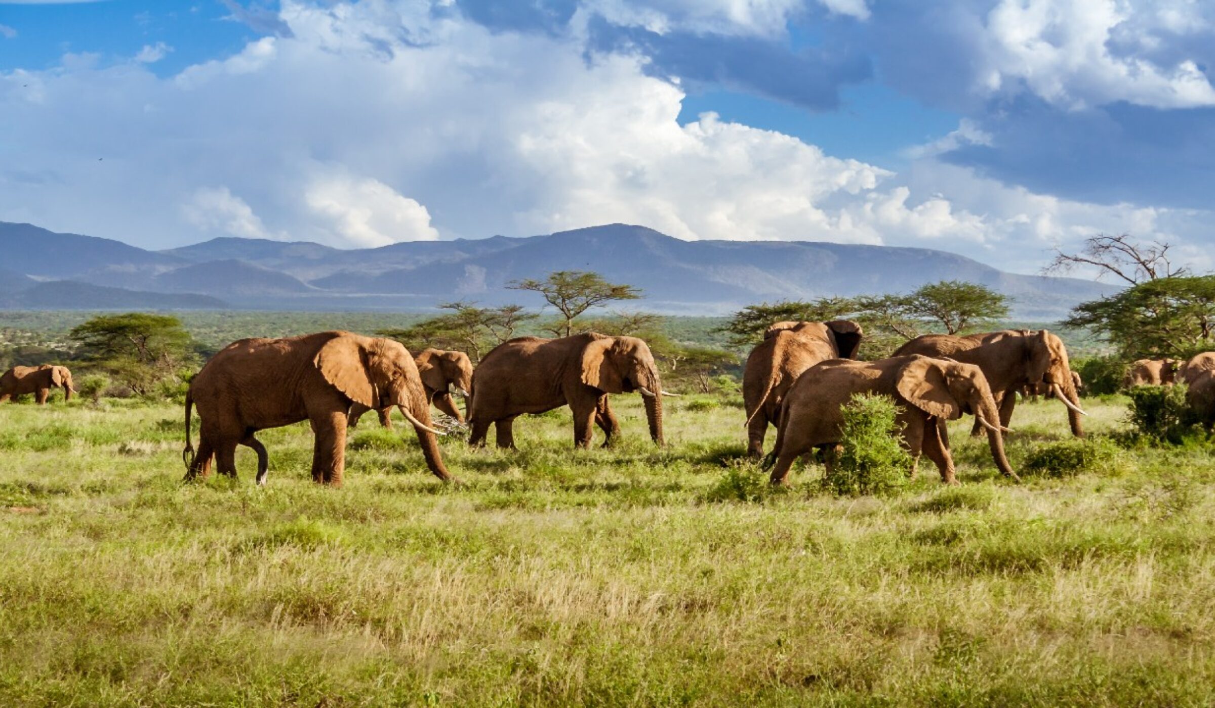 Honeymoon grand tours