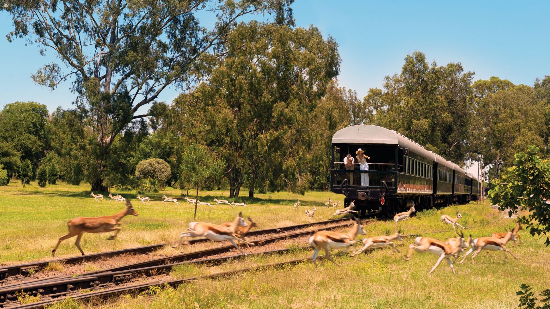 Rail journeys