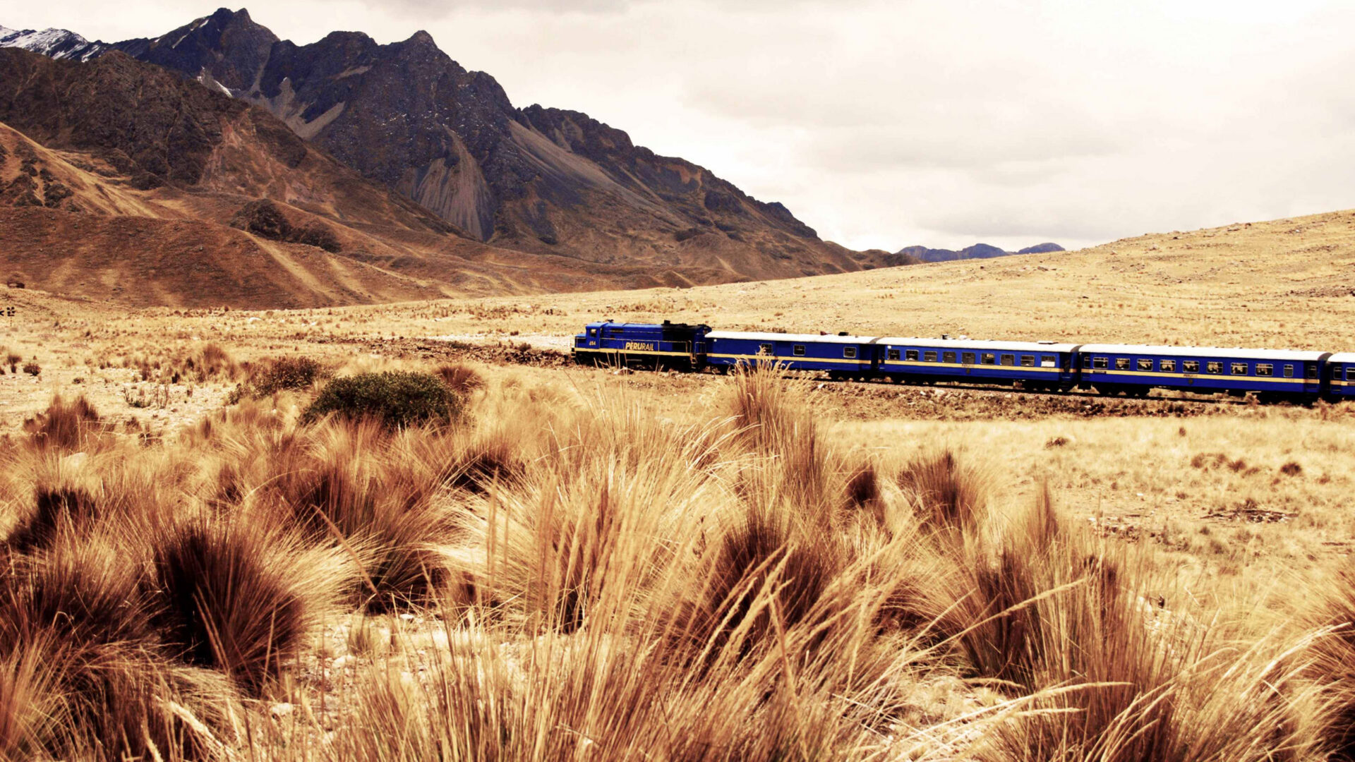 Luxury trains
